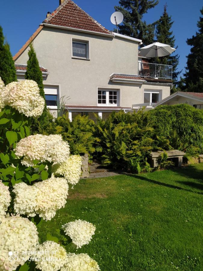 Kreativ Ferienwohnung Domizil Der Sinne Bad Liebenwerda Kültér fotó