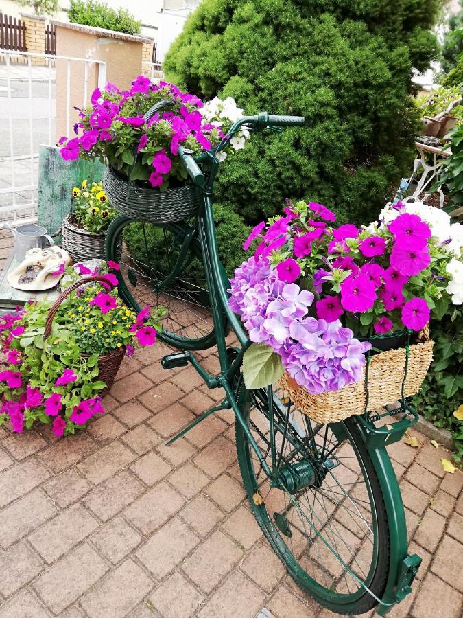 Kreativ Ferienwohnung Domizil Der Sinne Bad Liebenwerda Kültér fotó